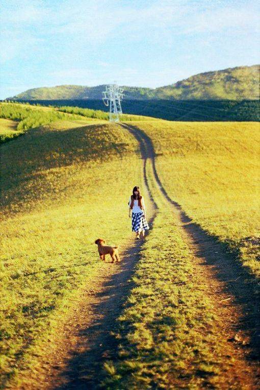 草地上的美女小清新图片