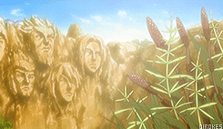 火影忍者系列：回忆中的那些温暖瞬间