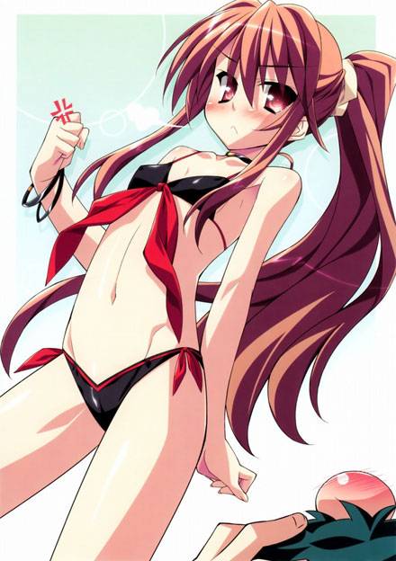 二次元单马尾美少女美图赏（15）