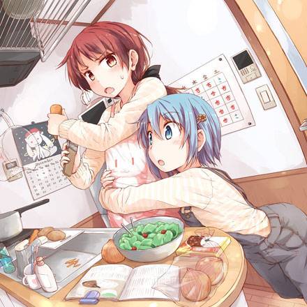 《魔法少女小圆》美树沙耶香图集(6)