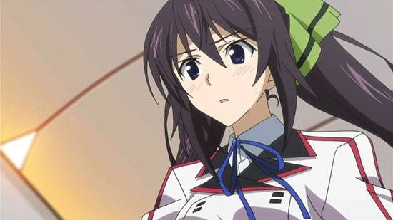 《Infinite Stratos》篠之之箒美图片写真集大全(6)