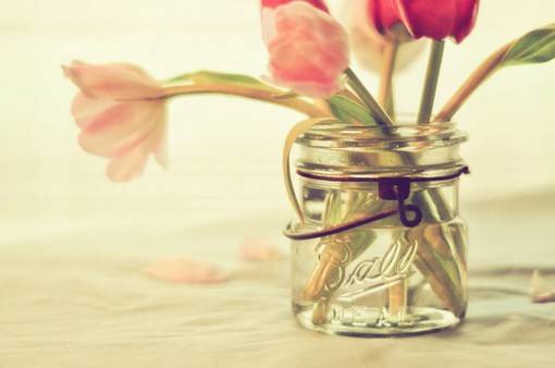 优雅与高贵的象征，好看的郁金香唯美图片