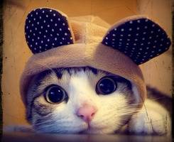 邻家女生都会用的小清新头像图片