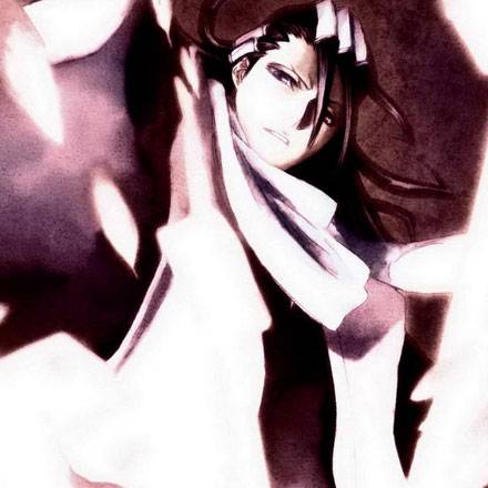 死神好男人朽木白哉图赏(7)