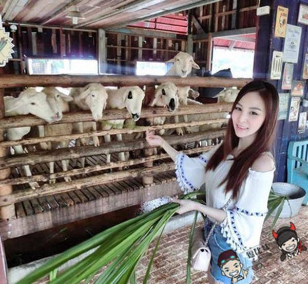 泰国夜市出现「水果西施」~颜值高到都忘记是在买水果了！