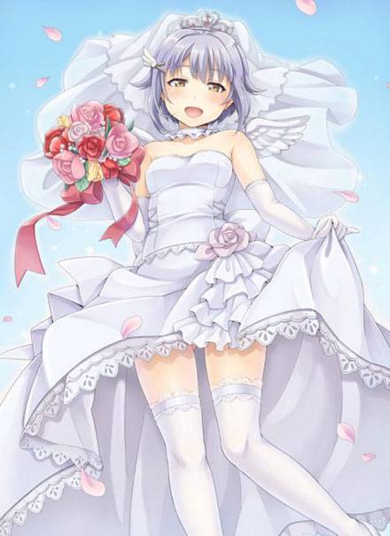 二次元婚纱美少女图集(4)
