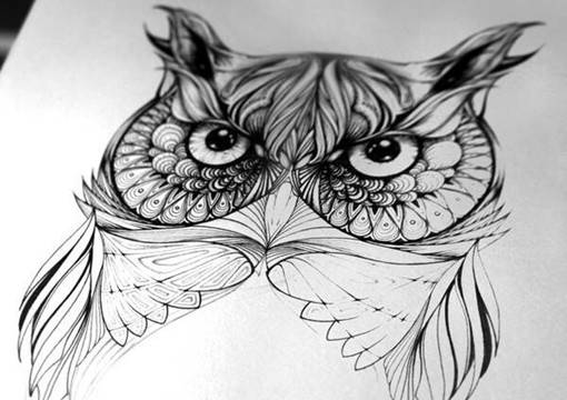 插画师Greg Coulton的手绘猫头鹰唯美单色插画图片