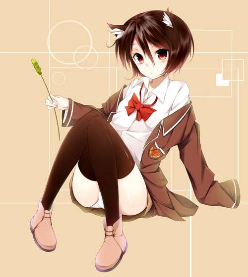 二次元猫耳娘福利图赏析（9）