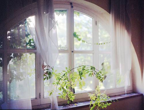 窗户小清新图片