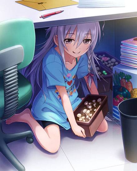 《偶像大师灰姑娘女孩》星辉子图集（7）