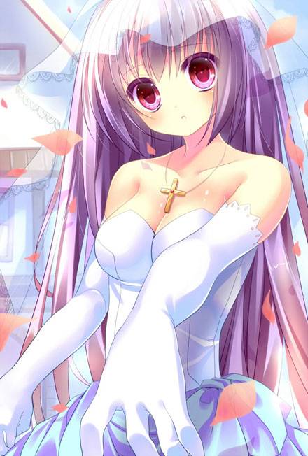 二次元婚纱美少女图集5（13）