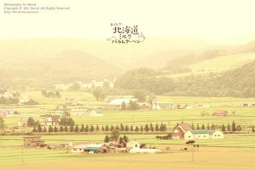 北海道唯美图片