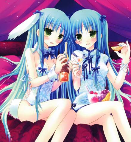 二次元兔女郎美少女美图赏一（15）