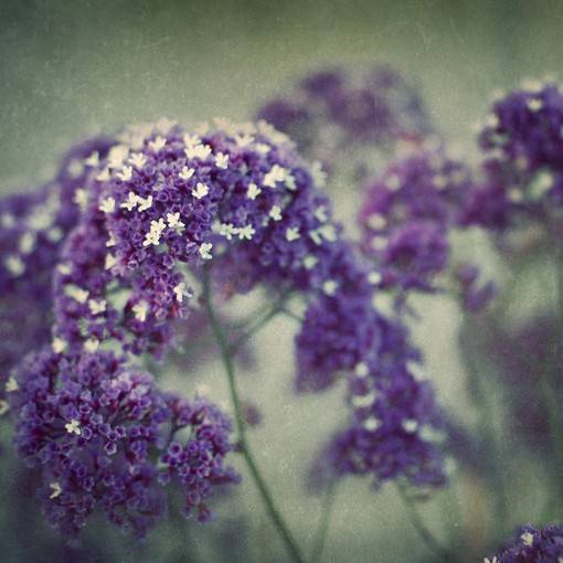 正能量日系美图