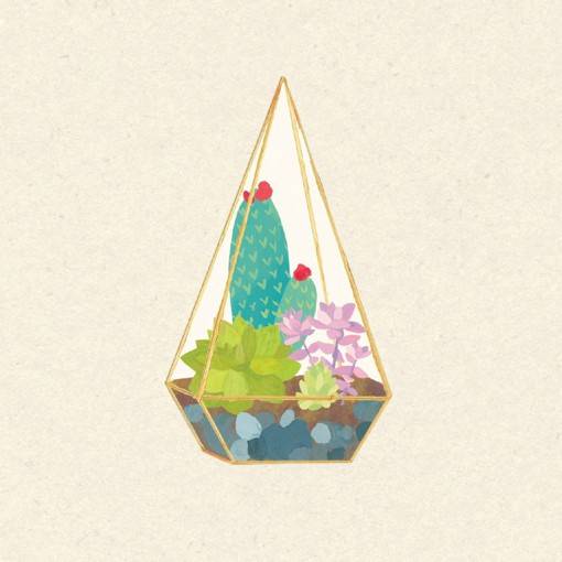 多肉植物的小清新手绘插画