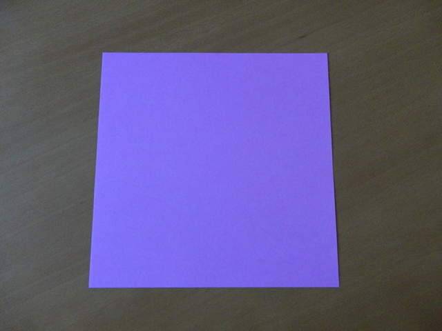 海贼王《乔巴摺纸教学》一起来摺出萌萌的乔巴～₍₍ 衅⁾⁾  - 图片2