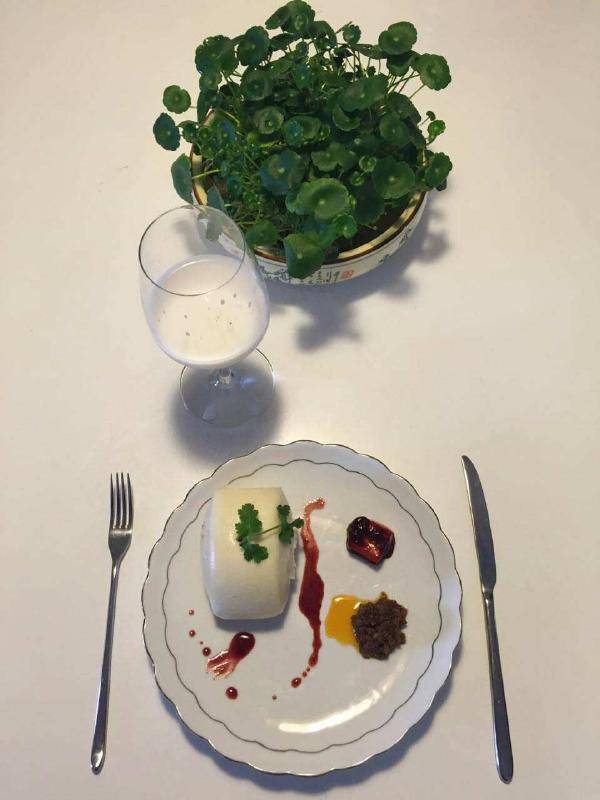 无聊一刻：猴子和鸟上演的一场跨种族空中交配绝技