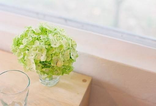 关于流走的时光的治愈系小清新场景美图