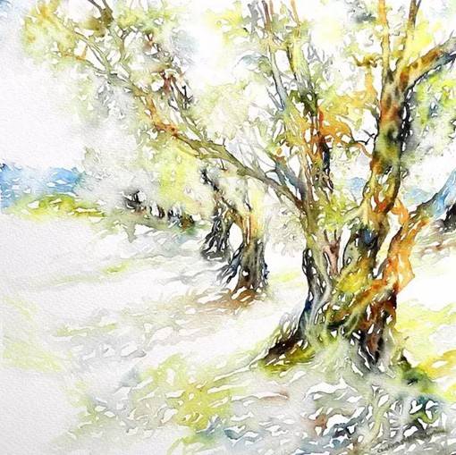 插画师Cristina Dalla Valentin色彩斑斓的树林水彩画