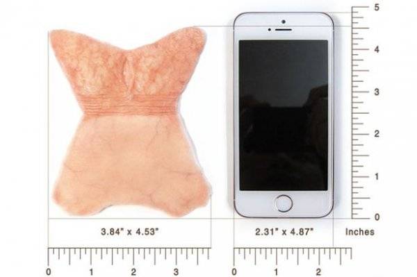 包皮雕塑：启迪人心的重口味艺术