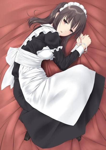 最新二次元女仆萌妹子美图集2(9)