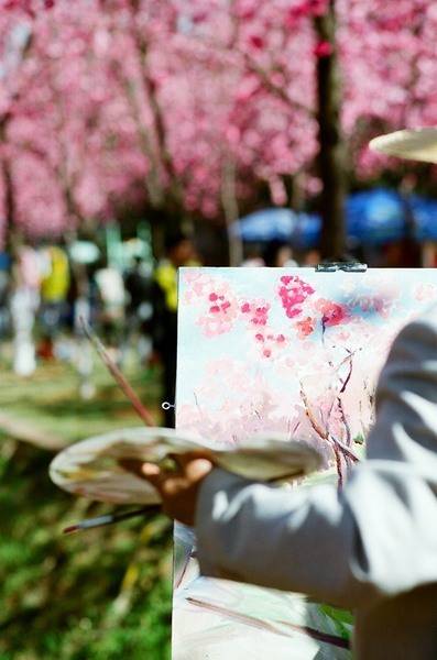 城市映象,春城昆明图片