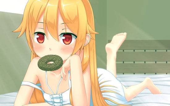 吸血鬼萝莉忍野忍图集(11)