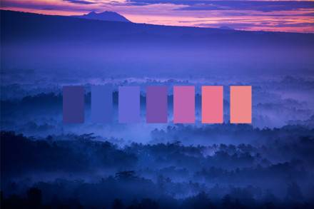 大自然告诉你哪些是舒服的配色方案