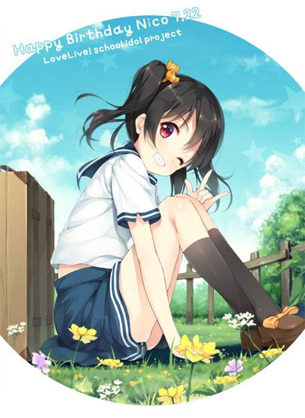 《Love Live！》矢泽妮可图集（2）