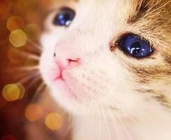 邻家女生都会用的小清新头像图片