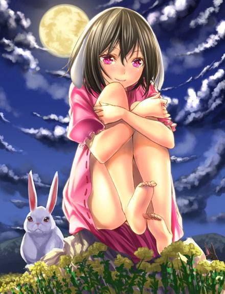 妖怪兔因幡帝图集(12)