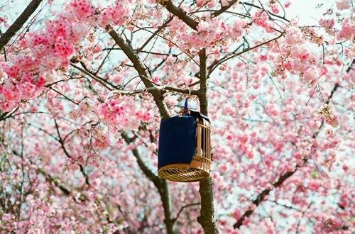 城市映象,春城昆明图片