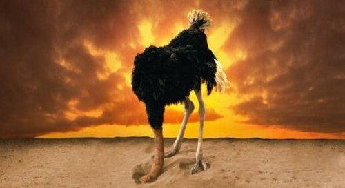 动物界十大谣传趣闻