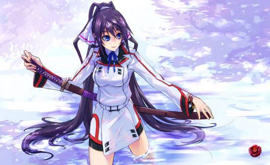 《Infinite Stratos》篠之之箒美图片写真集大全(1)