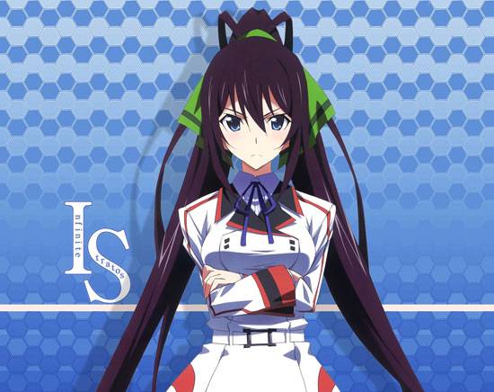 《Infinite Stratos》篠之之箒美图片写真集大全(15)