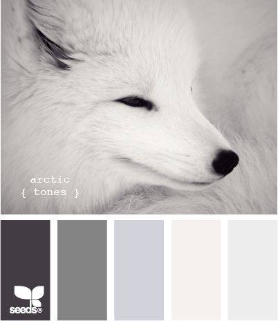 让人很舒服的柔和的灰色系配色方案推荐