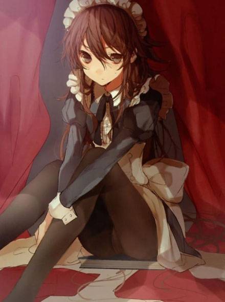 最新二次元女仆萌妹子美图集2(13)