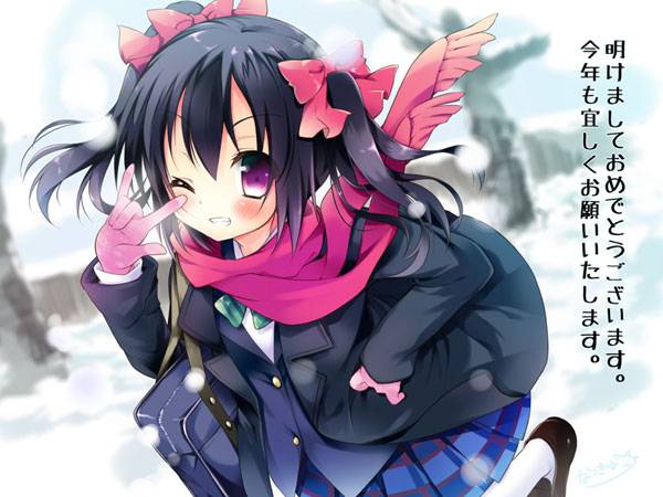 二次元美少女2015恭贺新年图集三（10）