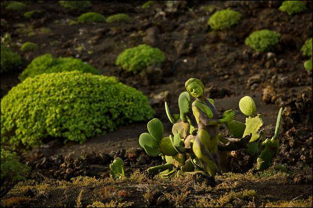 隐藏的彩绘少女：令人震惊的伪装人体艺术[24P]