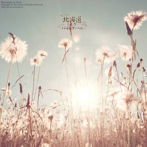 北海道唯美图片