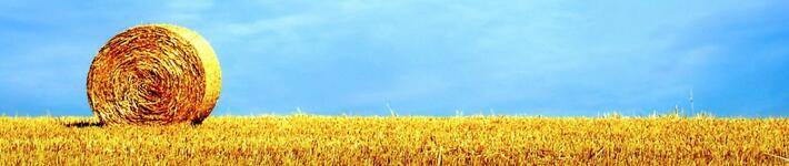 美文：为什么我们那么喜欢看《奇葩说》