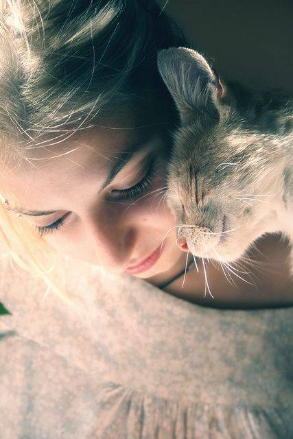 清新甜美的女生怀抱着猫咪的唯美图片