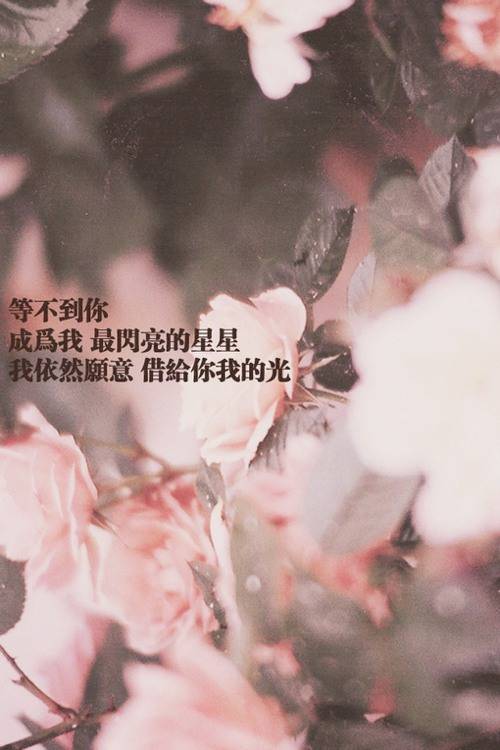 伤感爱情手写文字图片