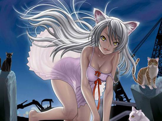 班长妹羽川翼美图赏(6)