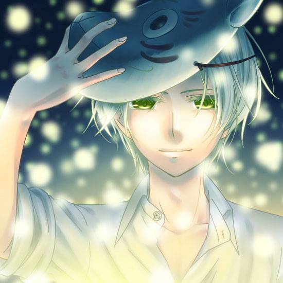 萤火之森银图片(4)