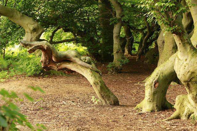 隐藏的彩绘少女：令人震惊的伪装人体艺术[24P]