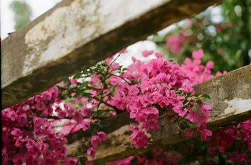 城市映象,春城昆明图片