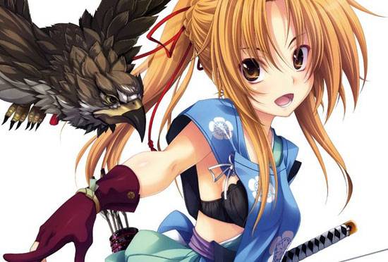 《织田信奈的野望》美少女图片写真集大全(6)