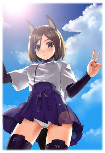 二次元兽耳美少女第三弹（9）