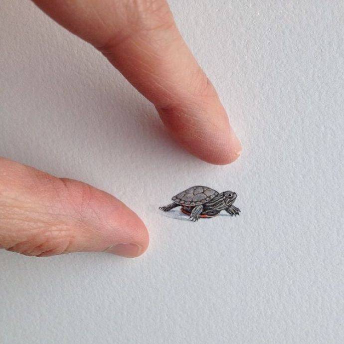 插画师Brooke Rothshank精致而迷你的微缩手绘插画